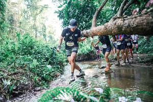 BIB: 
                            <button type="button" onclick="openModal(25461327)" class="btn btn-primary btn-sm float-right btn-popup" data-toggle="modal" data-target=".modal-high-quality">
                        <i class="fas fa-shopping-cart"></i> Add to Cart
                    </button>
                                            <button type="button" onclick="isThisMe(25461327, true)" class="btn btn-success btn-sm float-right btn-popup btn-isme hidden" data-toggle="tooltip" data-placement="bottom" title="นี่คือรูปของคุณใช่ไหม คลิกที่นี่เพื่อเอาเข้าอัลบั้ม">
                        <i class="fas fa-plus"></i> Add to album
                    </button>
                    <button type="button" onclick="isThisMe(25461327, false)" class="btn btn-warning btn-sm float-right btn-popup btn-isnotme hidden">
                        <i class="fas fa-ban"></i> Remove from album
                    </button>